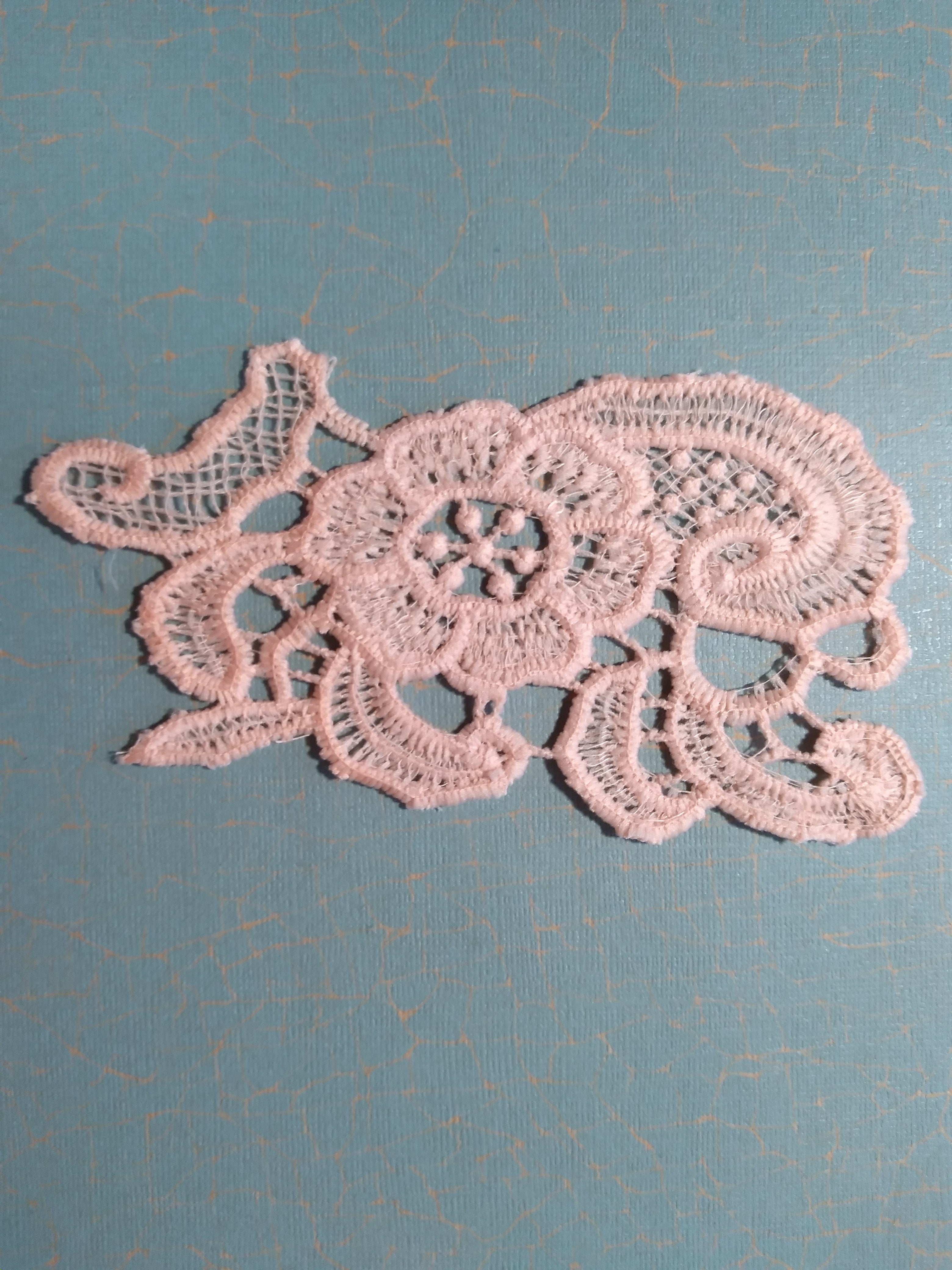 1-Piece Lace Applique in Light Peach-1