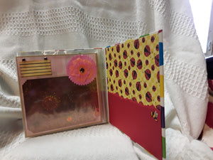 Colorful Circles Scrapbook