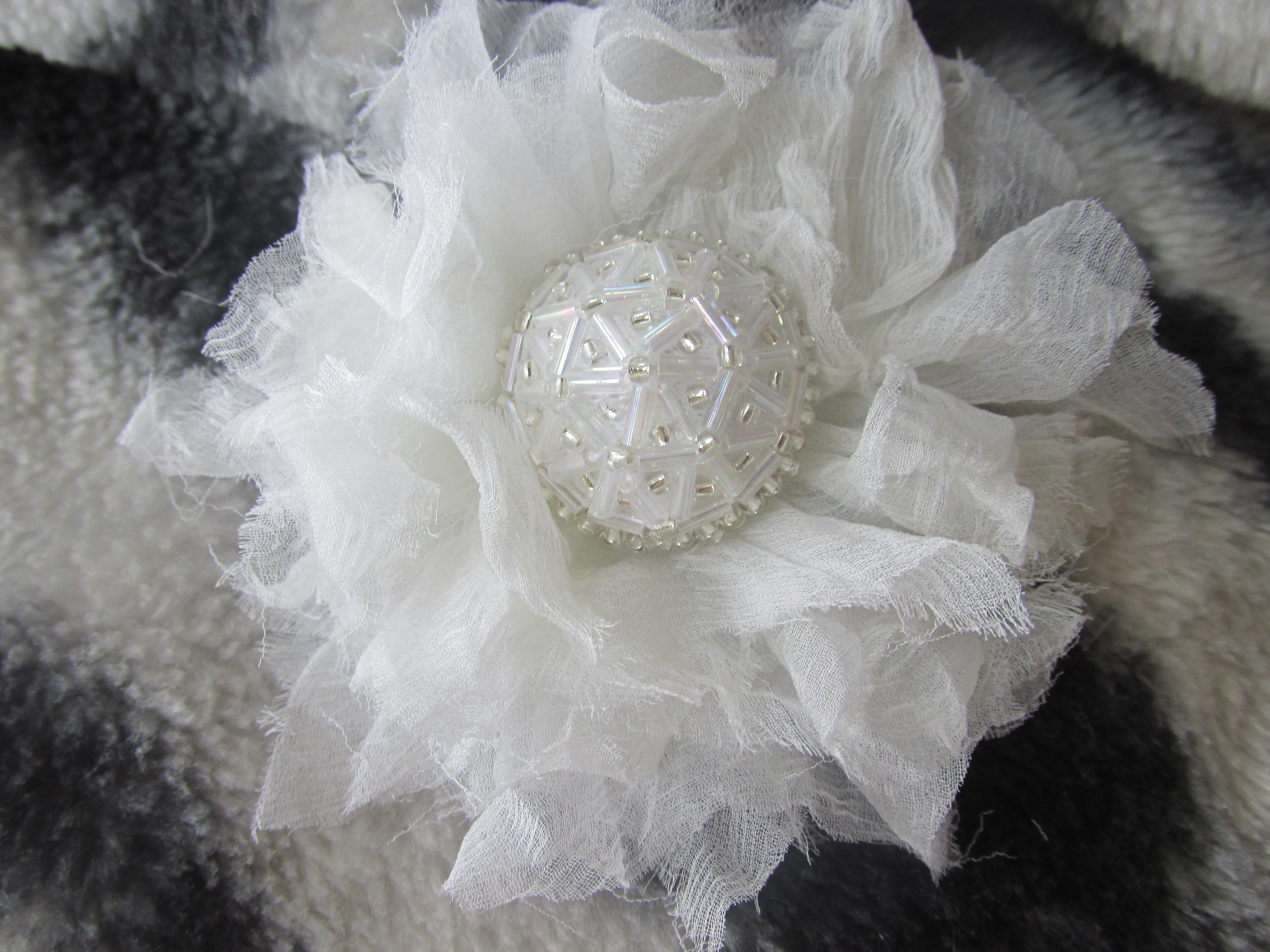 Fairy Wing Flower