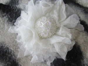 Fairy Wing Flower